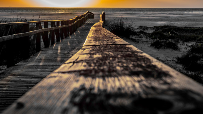PATHS TO THE SEA